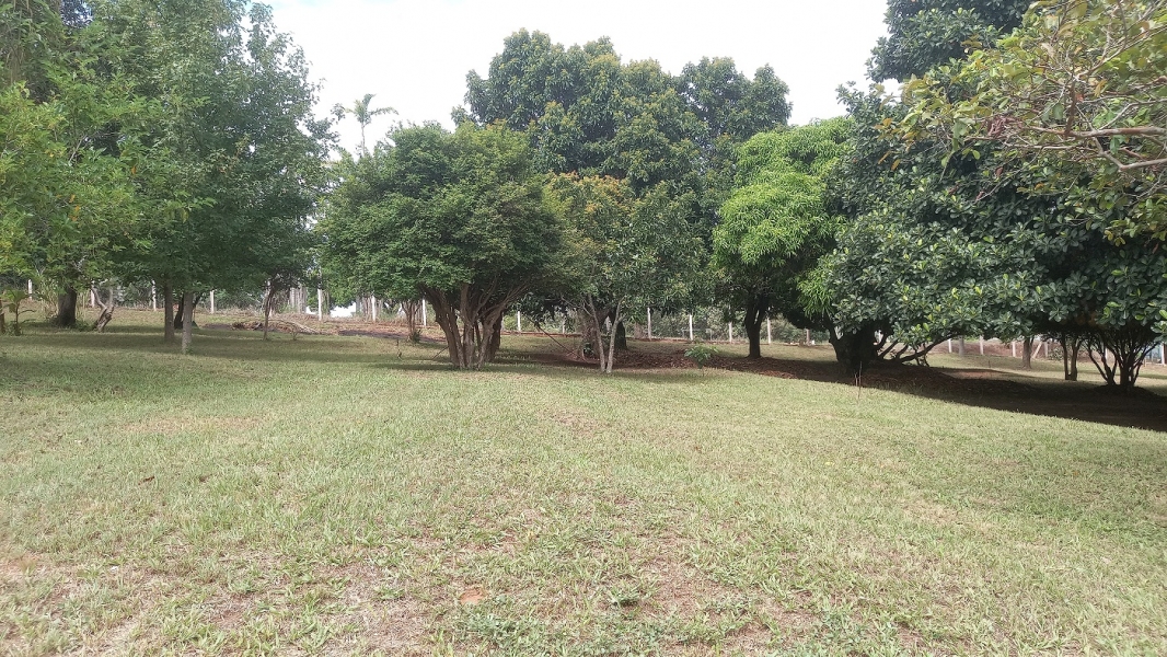 Itaí /SP