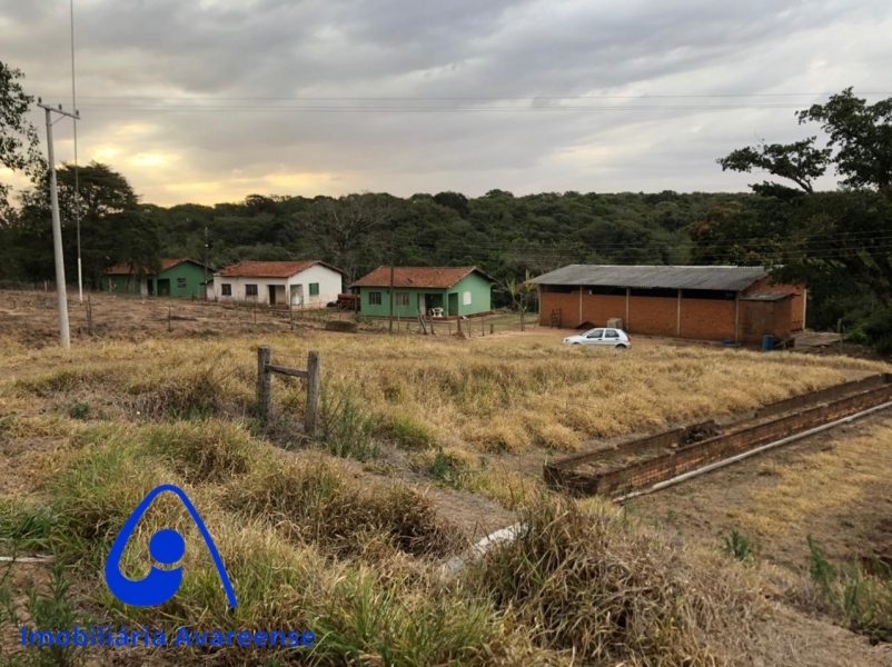 Avaré/SP